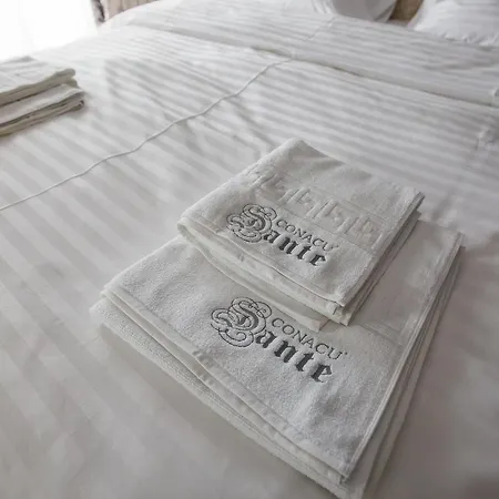 Conacul Dante Guest house