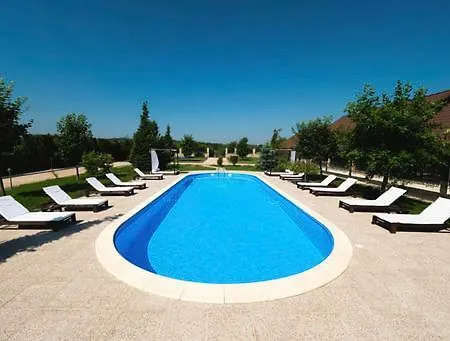 Conacul Dante Guest house Pianu de Jos