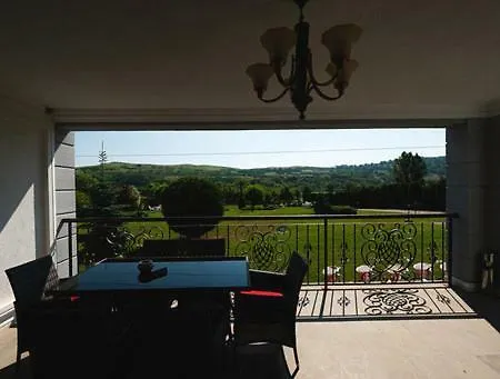 Conacul Dante Guest house Pianu de Jos